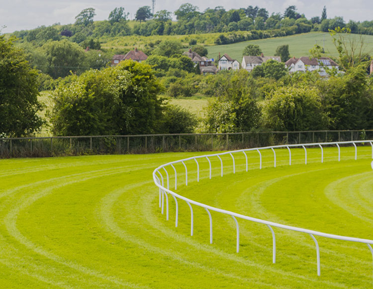 The Racecourse