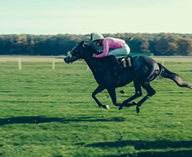 Wetherby Racecourse History