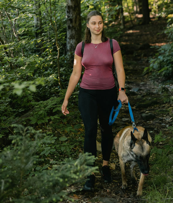 Public Access & Dog Walkers