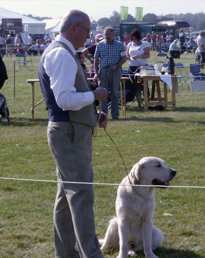 Driffield Championship Dog Show